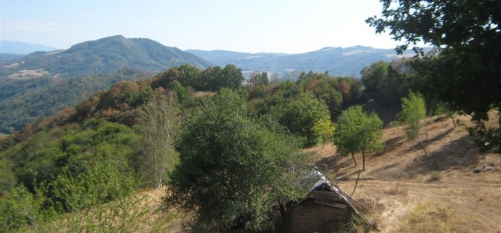 Najava akcije: Dan čistih planina : Banja Vrujci – Rajac