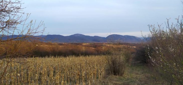 Vesti: Štubej – Homoljske planine #120vrhovaSrbije